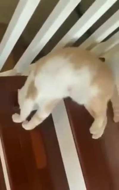 ready for launch