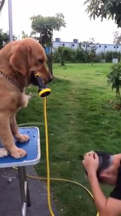 Maybe Maybe Maybe