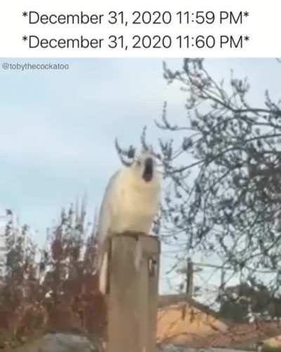 Esse &eacute; o medo de todos