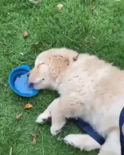 Thirsty...sleepy....thirsty....slee..