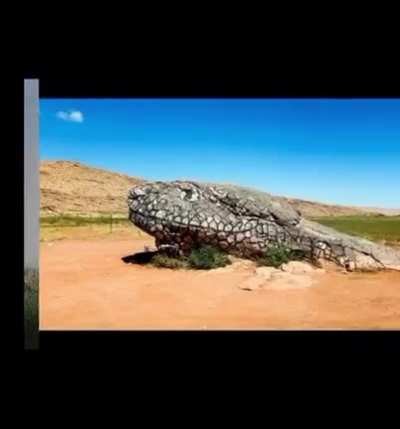 Could petrifaction be a reality of our past?