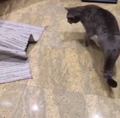 Carpet jumpscare