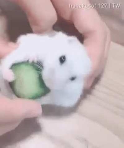 The floof ball