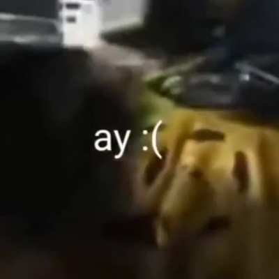Ay