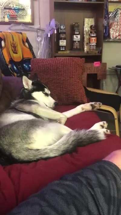 Wonder what she&rsquo;s dreaming?