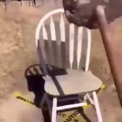 Nuts