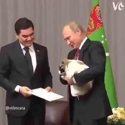woof_irl