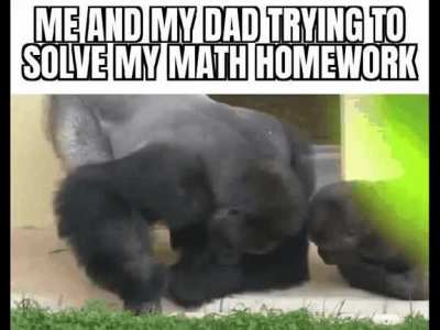 5th grade was hard