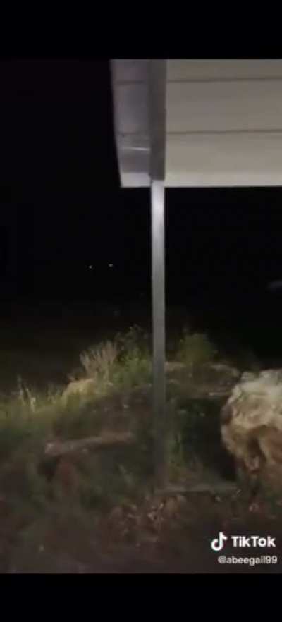 Just follow the lights