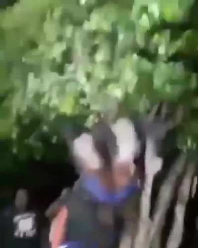 Picardía chilena