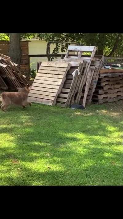 You can&rsquo;t catch me!