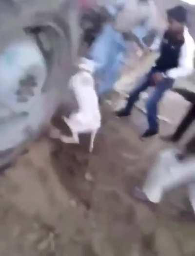 Holding an improvised revolving axle while breaking up a dog fight