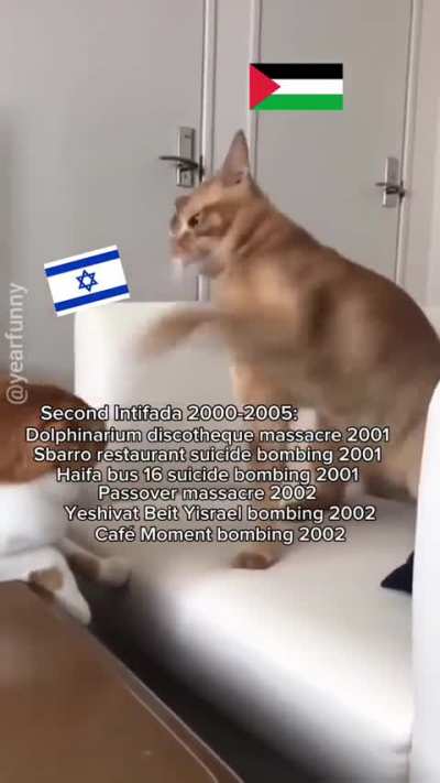 the reality !
