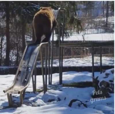 Winter fun