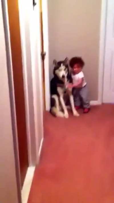Baby scared of vacuum cleaner goes to doggo for protection who himself is scared | The JellyGang