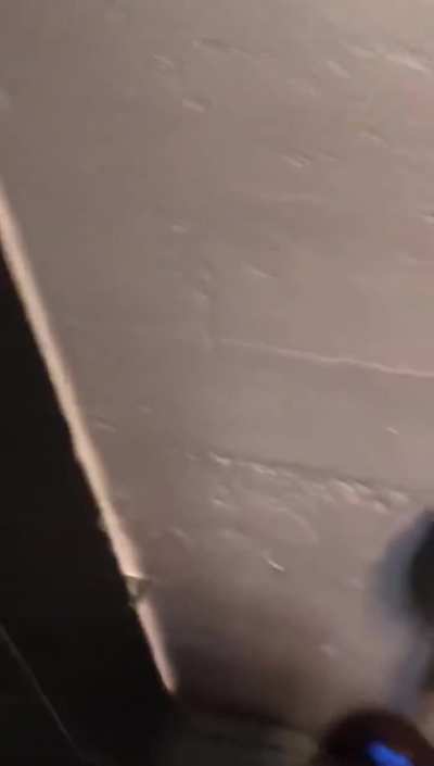 Caught On Camera! Trashy Porn Real Couple Gives Bar Bathroom Blowjob! Deepthroat &amp; Exhibitionism! You Won't Believe What Happens Next!