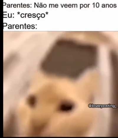 eu_nvr