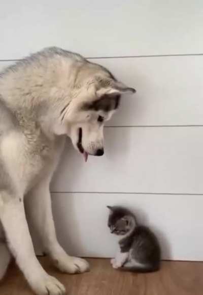I&rsquo;ll protect you little one