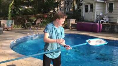Cursed_pool cleaning
