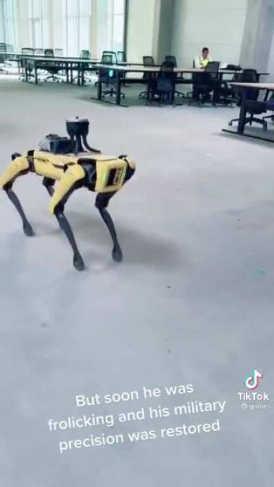 Doggy