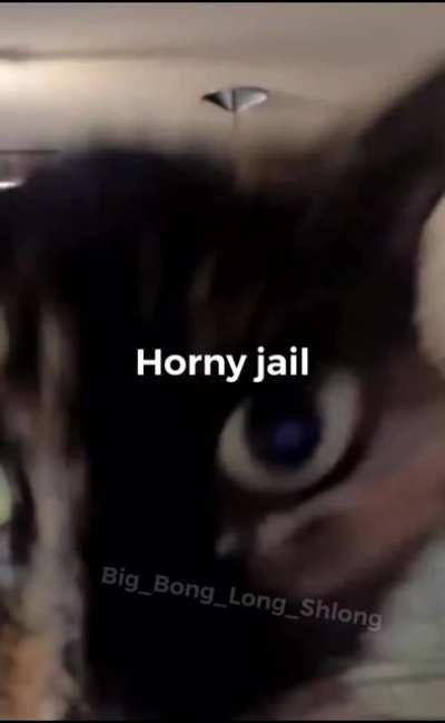 NOW