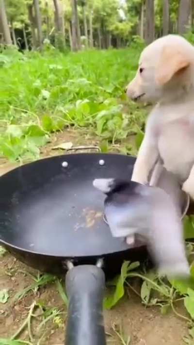 He&rsquo;s cooking