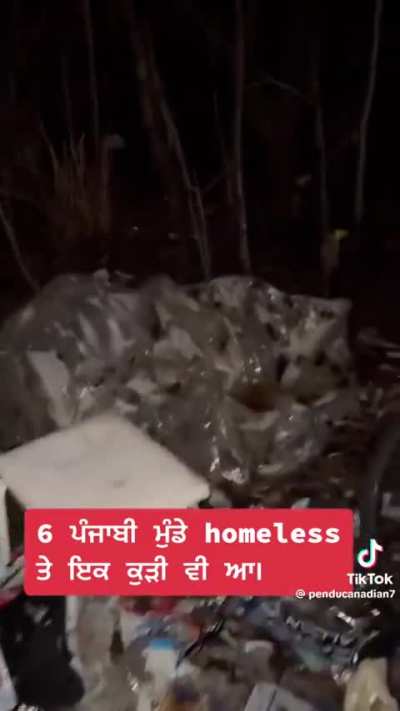 Welcome to Canada 🇨🇦. International students living in make shift tents like animals surrounded by $2M homes in Brampton.