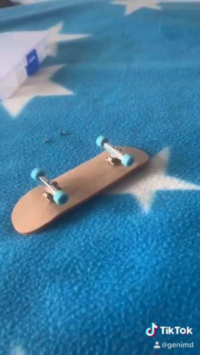 Sk8er Sn@il