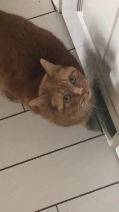 I don&rsquo;t know what she wants