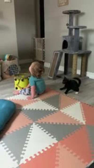 Hey tiny human... wanna fight me?