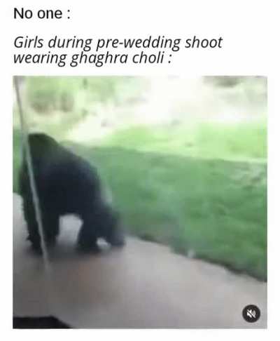 Welp