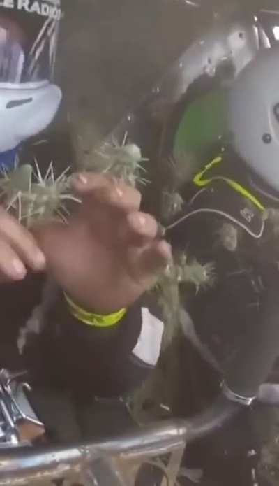 should've wear gloves