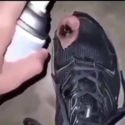 Momento G&ecirc;nio (se rir da sub pra rapaziada do chat)