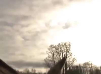 The &lsquo;deer being interviewed&rsquo; meme came from an Estonian news broadcast.