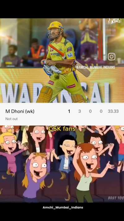 CSK fans