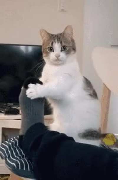 Any idea why he&rsquo;s doing this