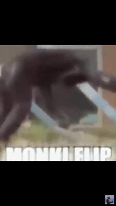 Monke