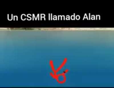 Xd