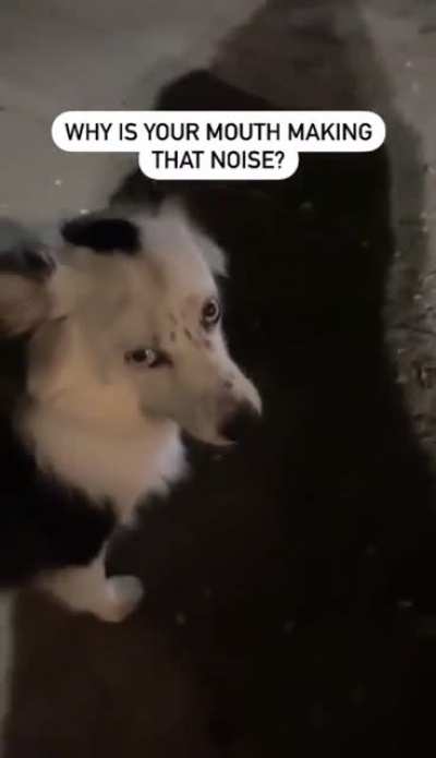 At least he didn&rsquo;t chew it?