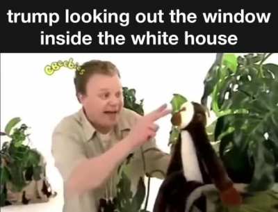 🐵