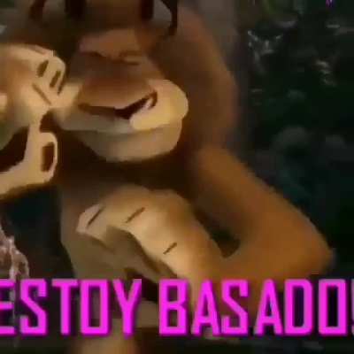 Soy basado y tu eres zzzzzzzzz