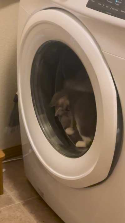 New achievement unlocked&hellip;the washer moves!
