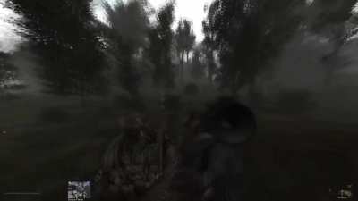 Stalker is a "survival horror"