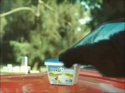 "Never say no to panda cheese"