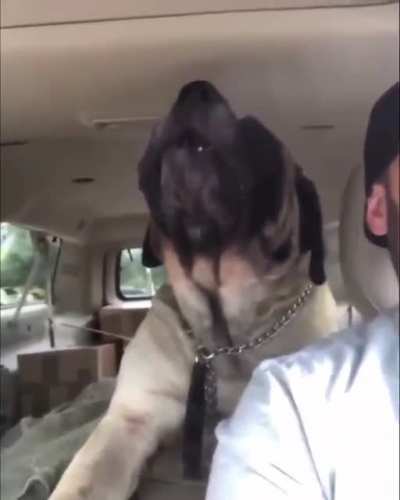 Just watch the video