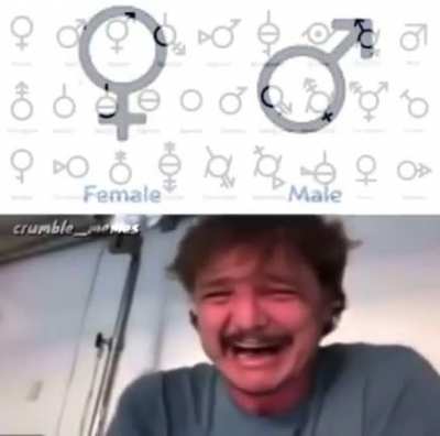 😩😩😩