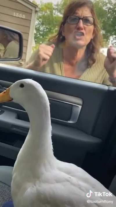 That ducks gonna need therapy.