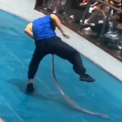 I&rsquo;ll just mess with this snake