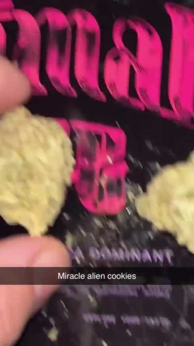 Mac1