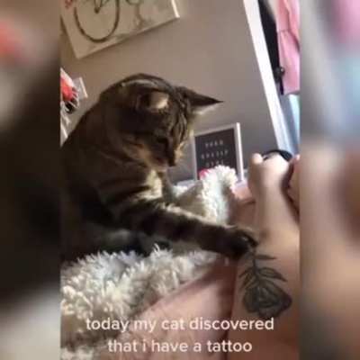 What&rsquo;s that??